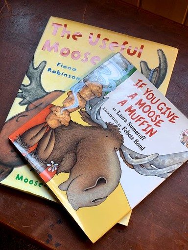 Cabins (United States of America, Greenville, Maine)