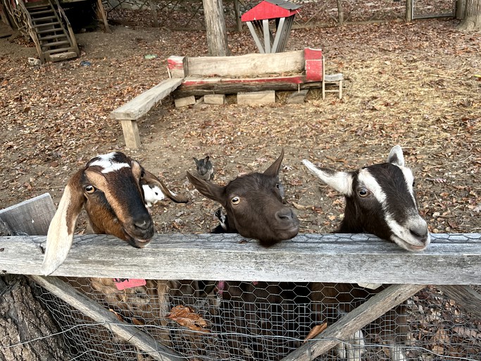 Barns (United States of America, Sugar Grove, North Carolina)
