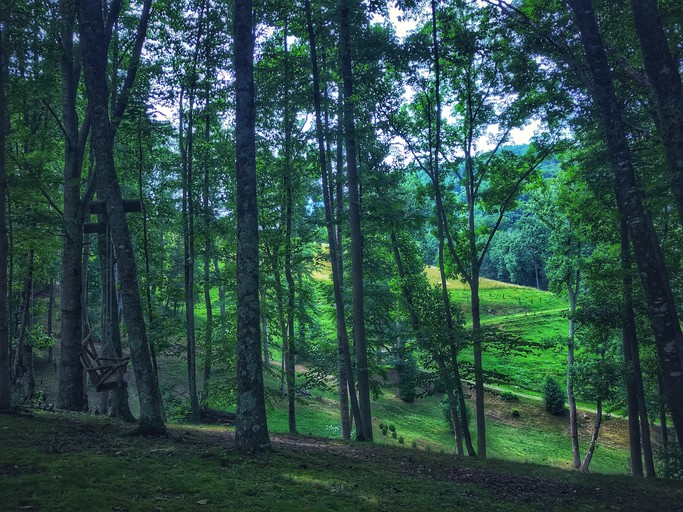 Barns (United States of America, Sugar Grove, North Carolina)