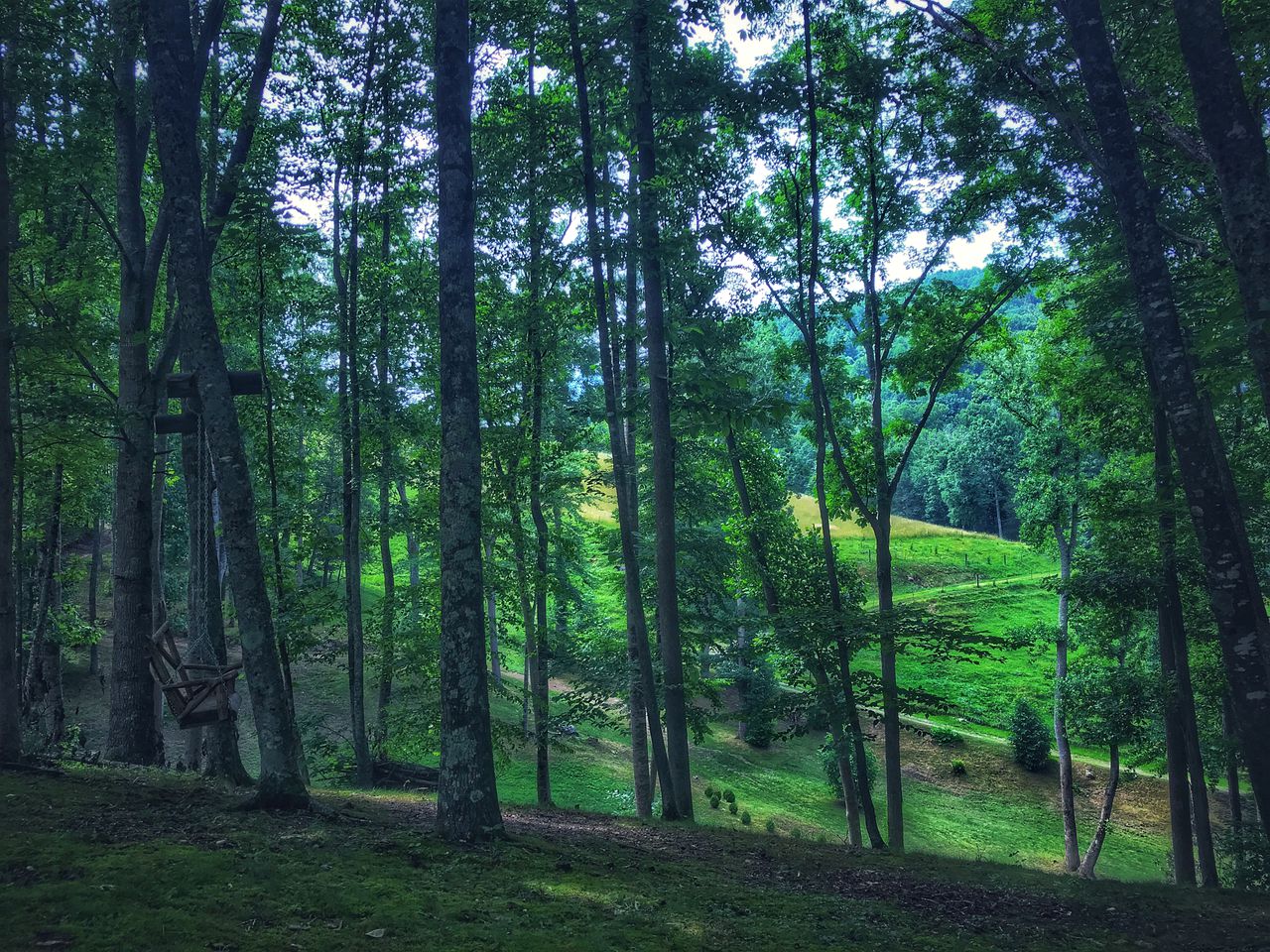 Wonderful Barn with Hot-tub and Petting Zoo in Sugar Grove, North Carolina