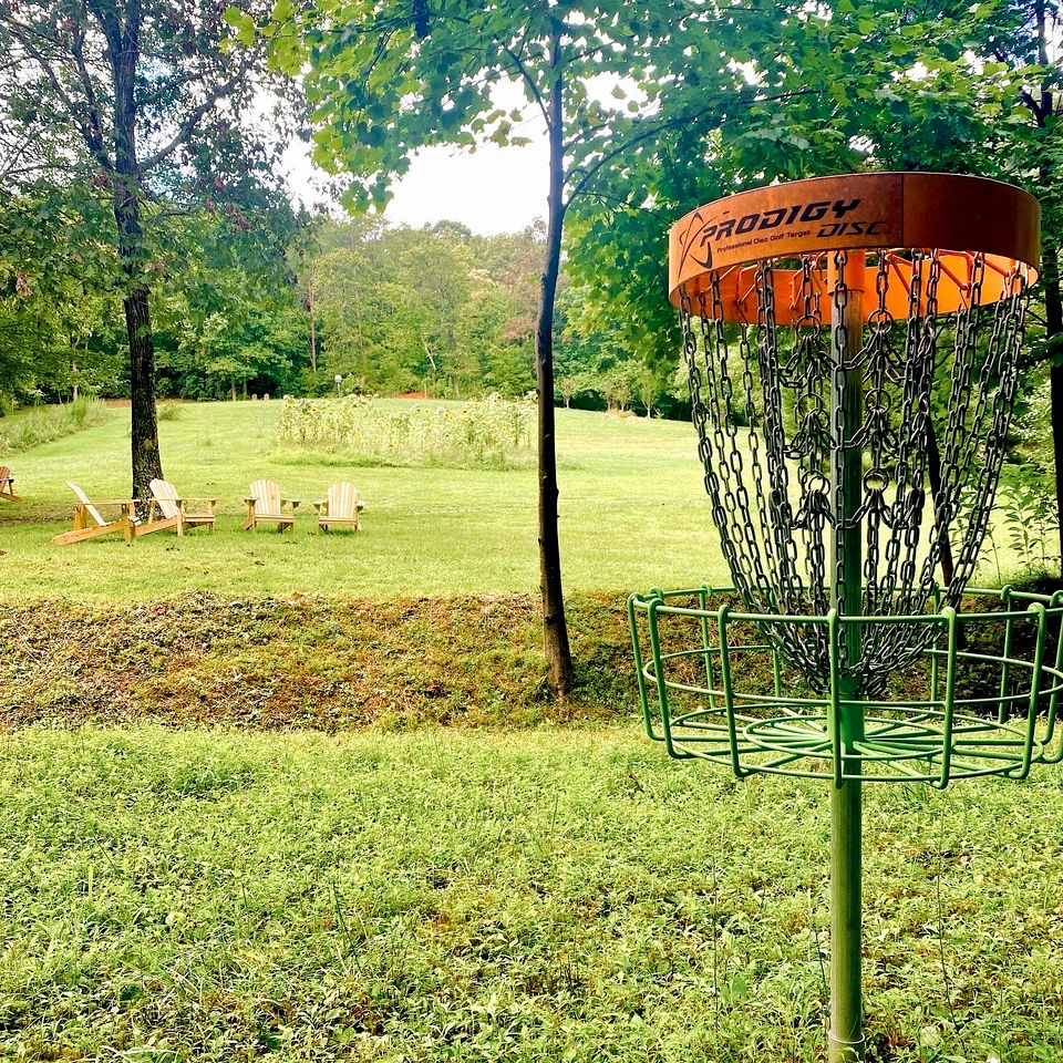 Entire Four Treehouses Resort Perfect for Groups and Outdoor Activities in Copperhill, Tennessee