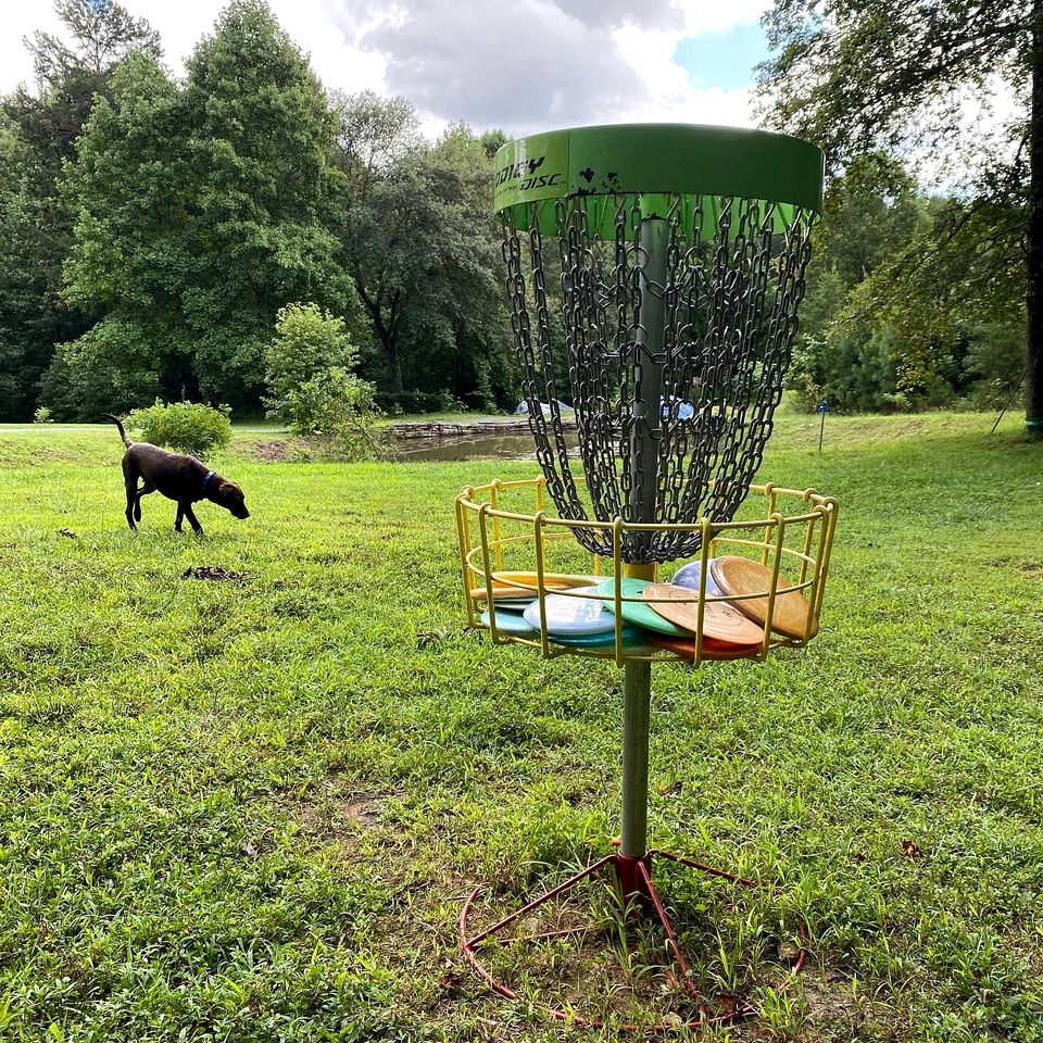 Entire Four Treehouses Resort Perfect for Groups and Outdoor Activities in Copperhill, Tennessee