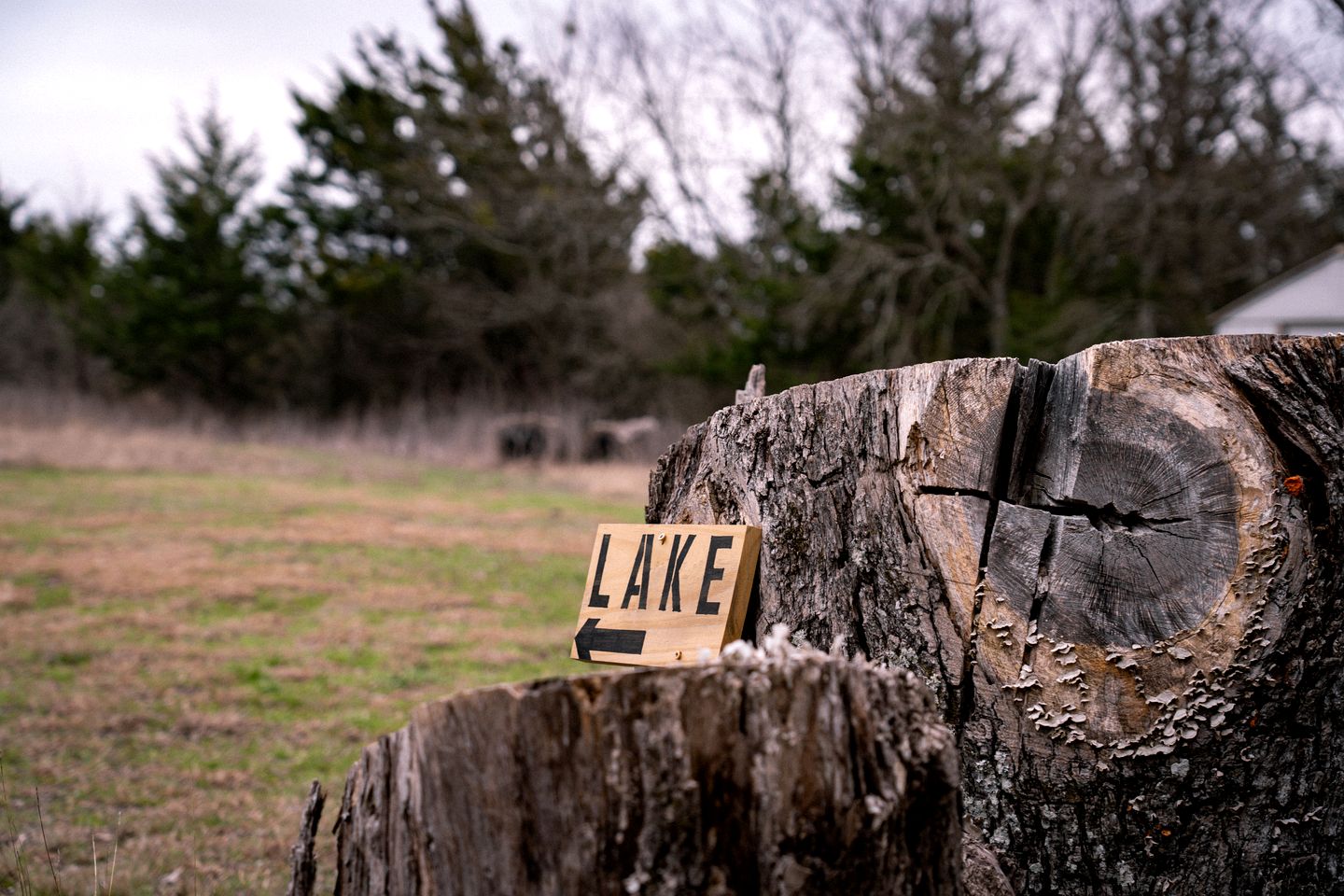 Peaceful Luxury Glamping Domes with Stargazing & Farm Retreat near Lake Access in Wolfe City, Texas