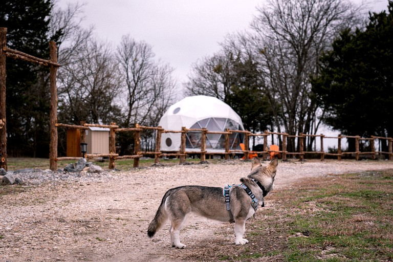 Domes (United States of America, Wolfe City, Texas)