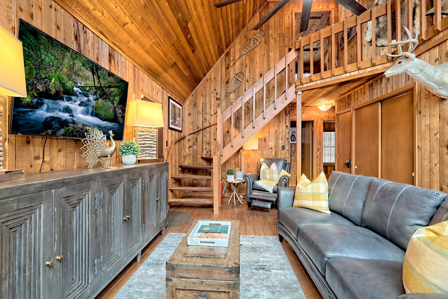 Entire Forest Property for the Family, Nestled in the Blue Ridge Mountains of Georgia