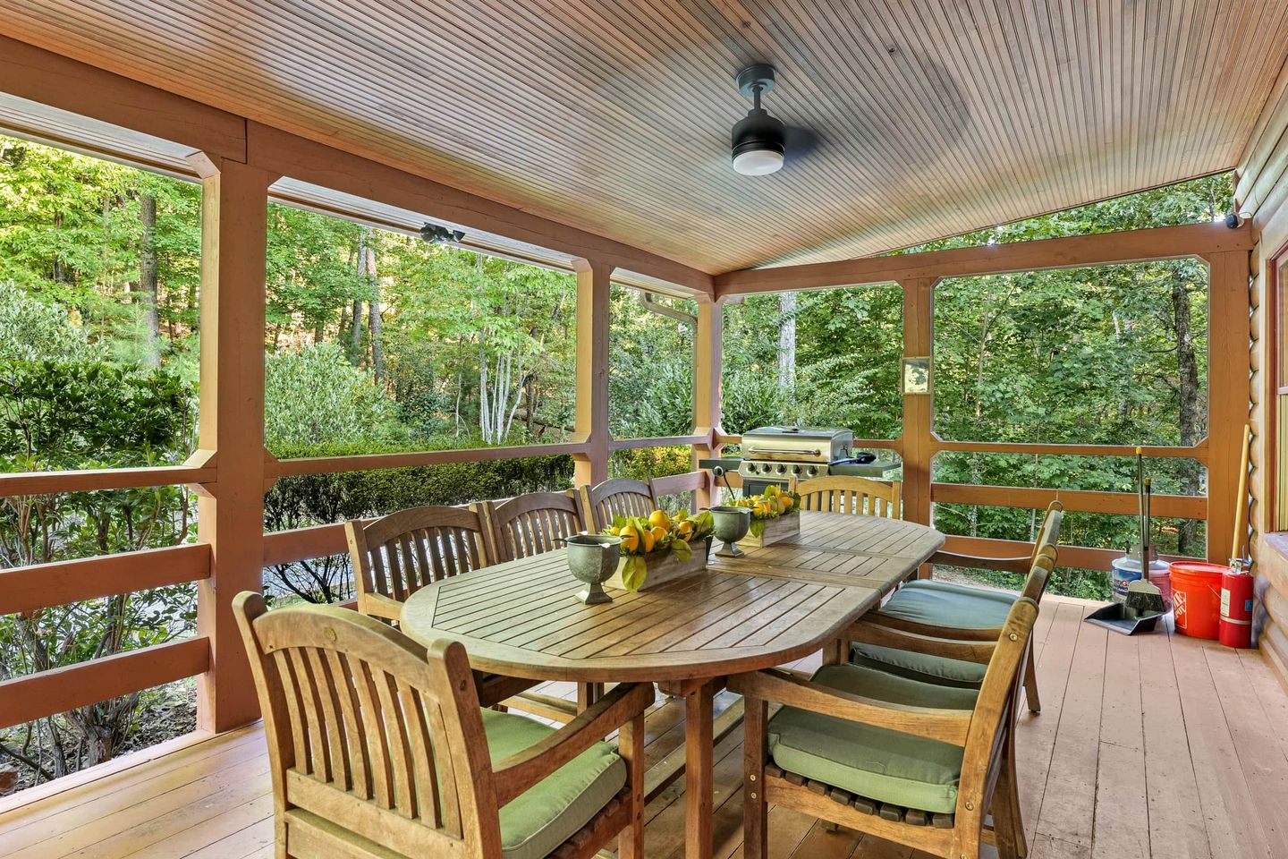 Entire Forest Property for the Family, Nestled in the Blue Ridge Mountains of Georgia