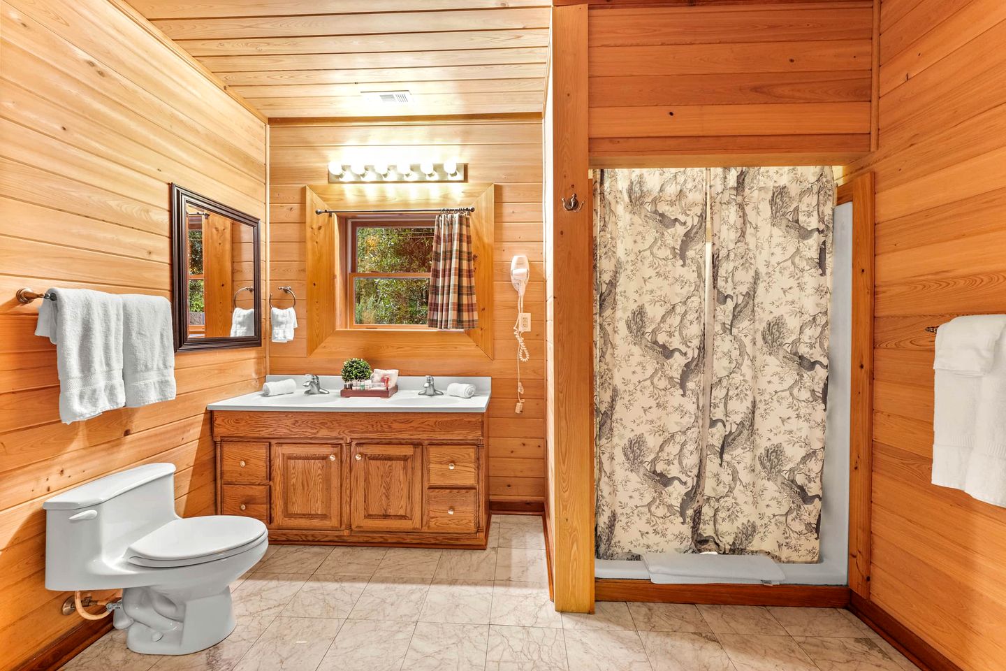 Entire Forest Property for the Family, Nestled in the Blue Ridge Mountains of Georgia