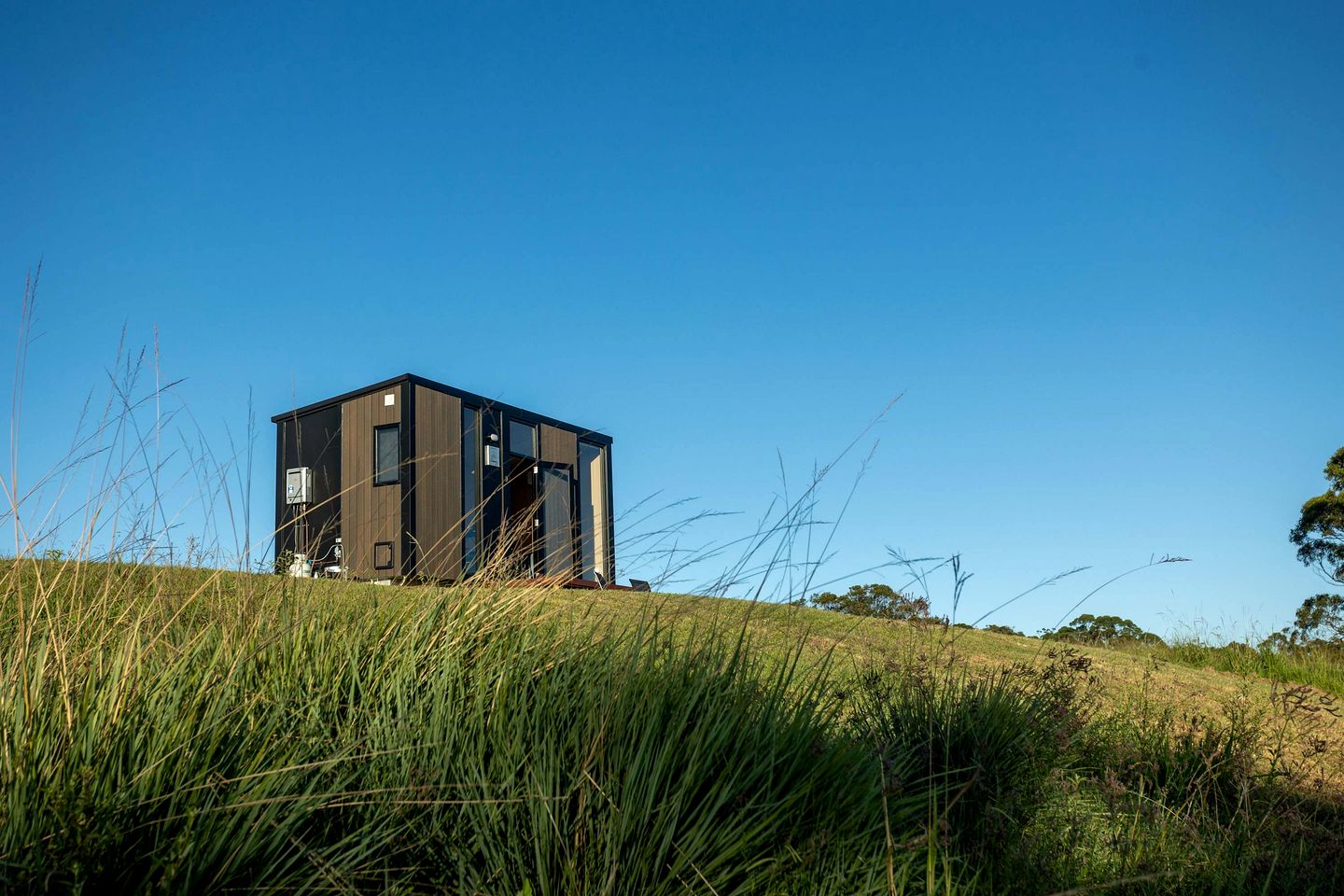 Rustic Tiny House Stay with Horse Encounters near Brisbane Water National Park, Calga NSW