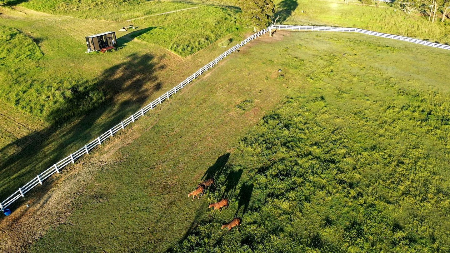 Rustic Tiny House Stay with Horse Encounters near Brisbane Water National Park, Calga NSW