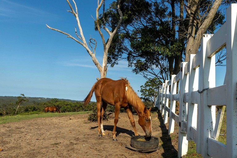 Tiny Houses (Australia, Glenworth Valley, New South Wales)