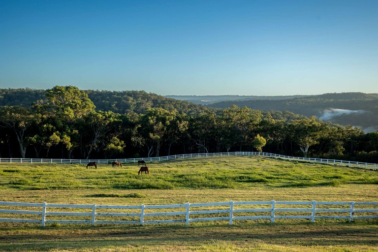 Tiny Houses (Australia, Glenworth Valley, New South Wales)
