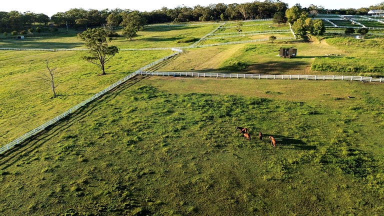 Tiny Houses (Australia, Glenworth Valley, New South Wales)