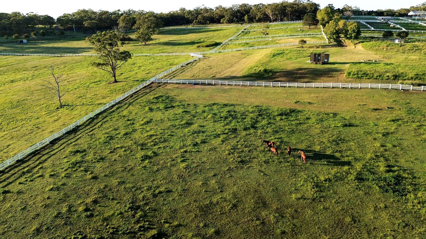Rustic Tiny House Stay with Horse Encounters near Brisbane Water National Park, Calga NSW