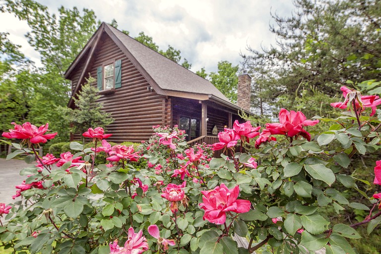 Cabins (United States of America, Pigeon Forge, Tennessee)