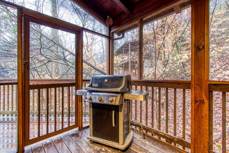 Cabins (United States of America, Pigeon Forge, Tennessee)