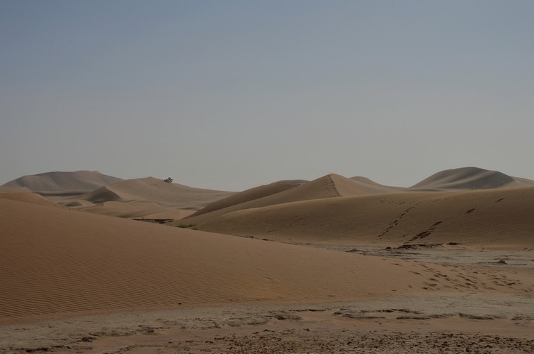 Tents (M'Hamid El Ghizlane, Drâa-Tafilalet Region, Morocco)