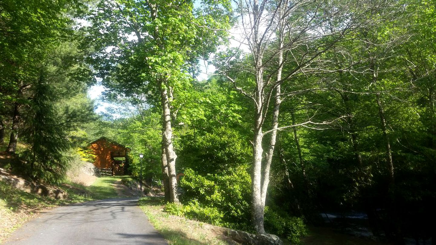 Riverfront Log Cabin Rental near Stone Mountain State Park, North Carolina