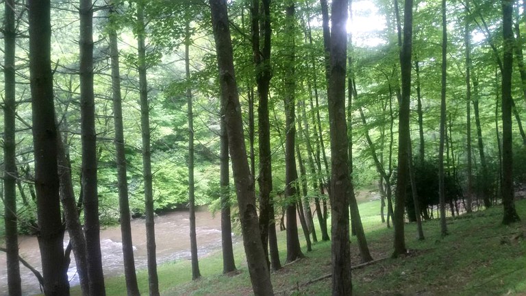 Log Cabins (Starta, North Carolina, United States)