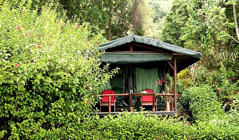 Tented Cabins (Golfito, Puntarenas, Costa Rica)