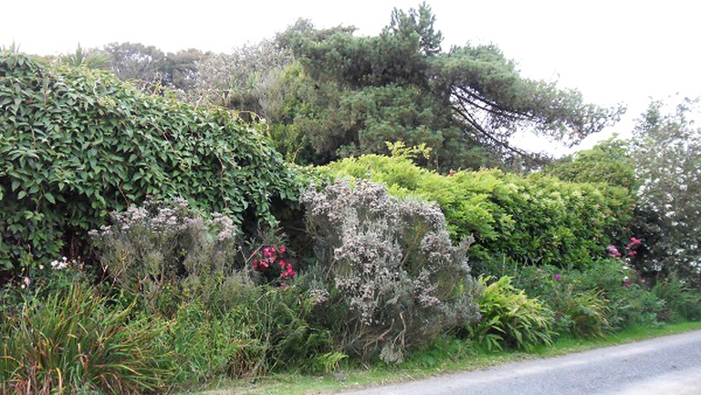 Cottages (Garlieston, Scotland, United Kingdom)