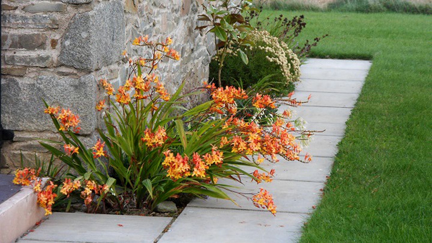 Luxury Pet-Friendly Accommodation with Large Garden in Dumfries and Galloway