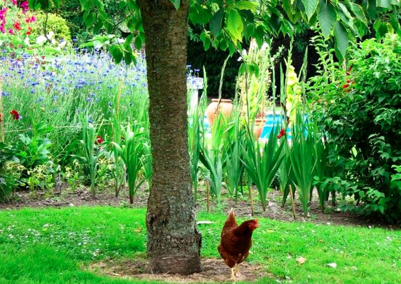 Gorgeous Pet-Friendly Holiday Rental with an Outdoor Pool near Dumfries