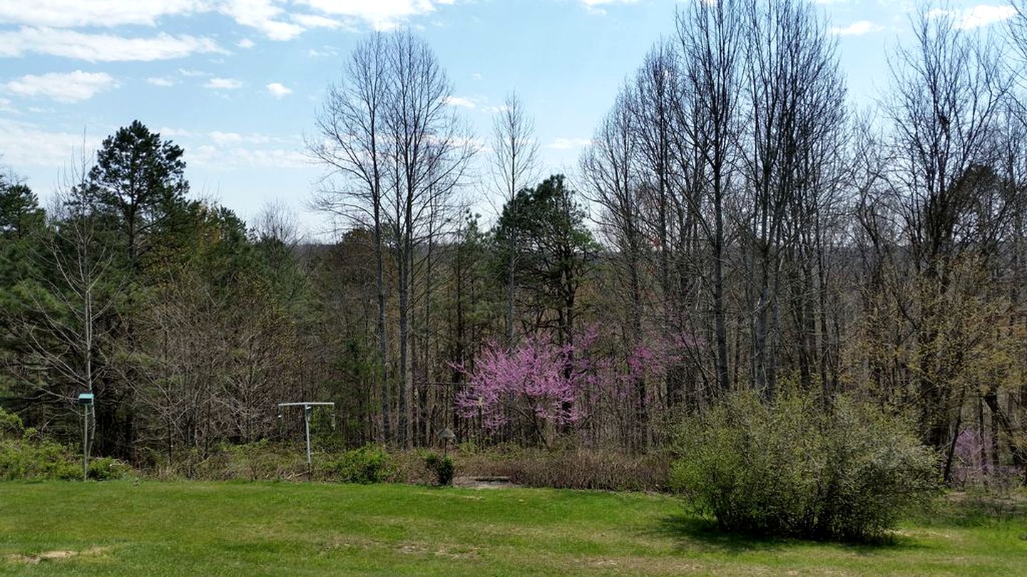 Secluded Cabin Rental Tucked Away in the Forest near London, Kentucky