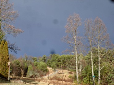 Secluded Cabin Rental Tucked Away in the Forest near London, Kentucky photo 4