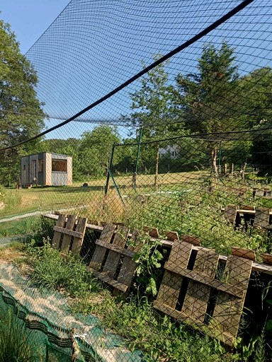 Vacation Rentals (France, Uzemain, Grand Est)