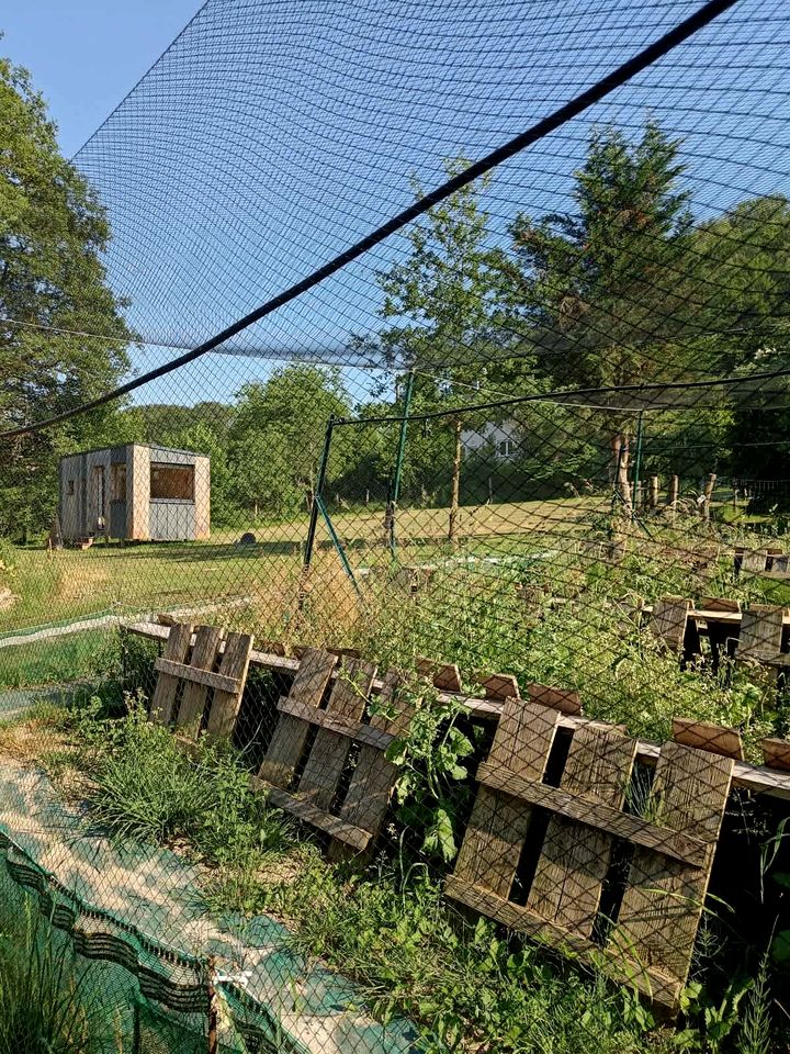 Rustic Countryside Eco Retreat with Snail Farm Experience Near Uzemain, France