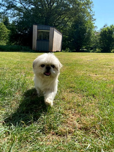 Vacation Rentals (France, Uzemain, Grand Est)