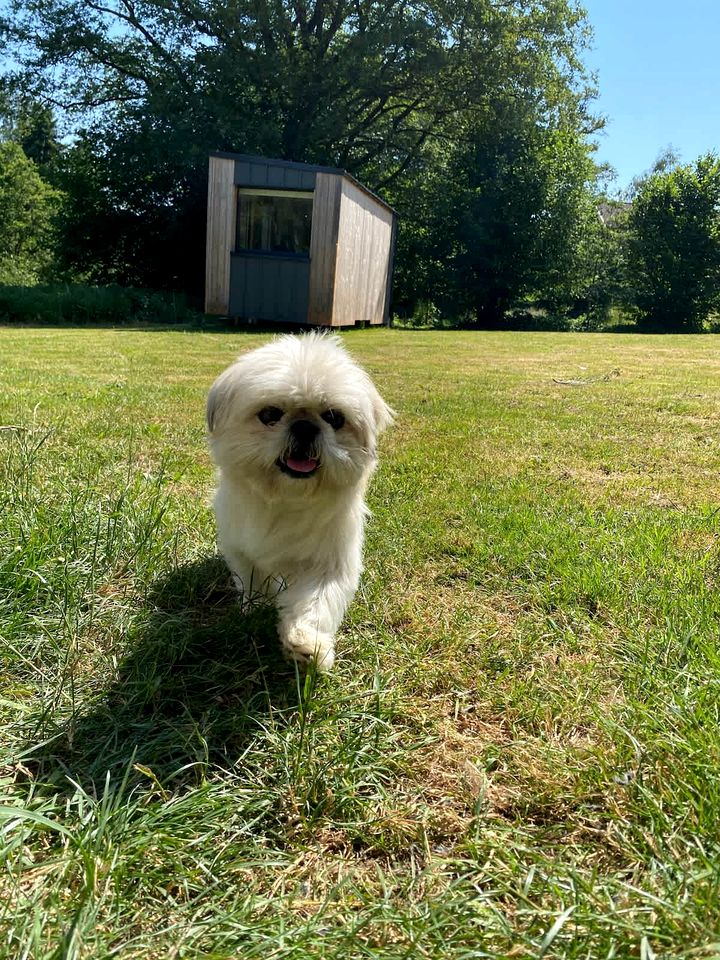 Rustic Countryside Eco Retreat with Snail Farm Experience Near Uzemain, France