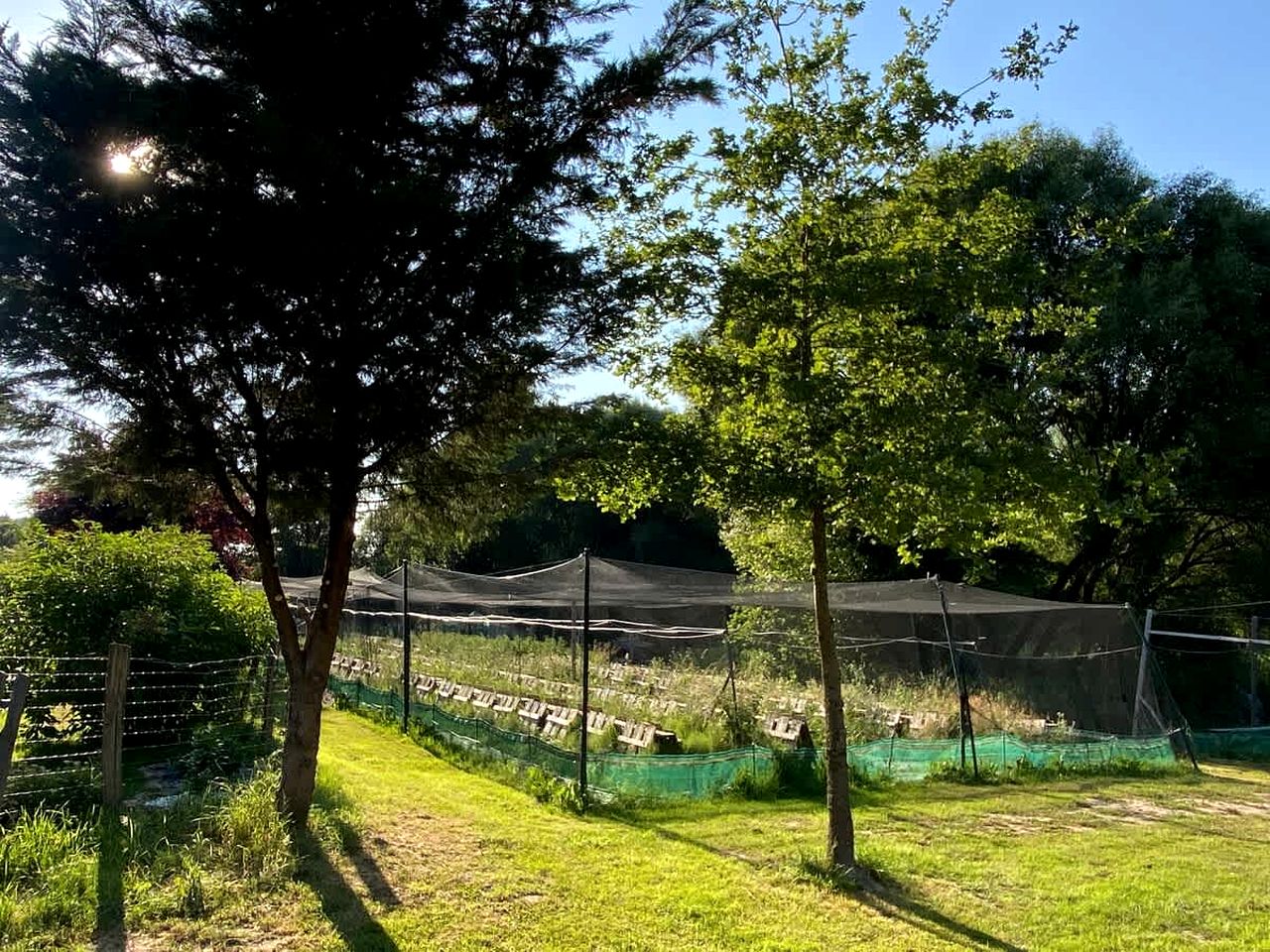 Rustic Countryside Eco Retreat with Snail Farm Experience Near Uzemain, France