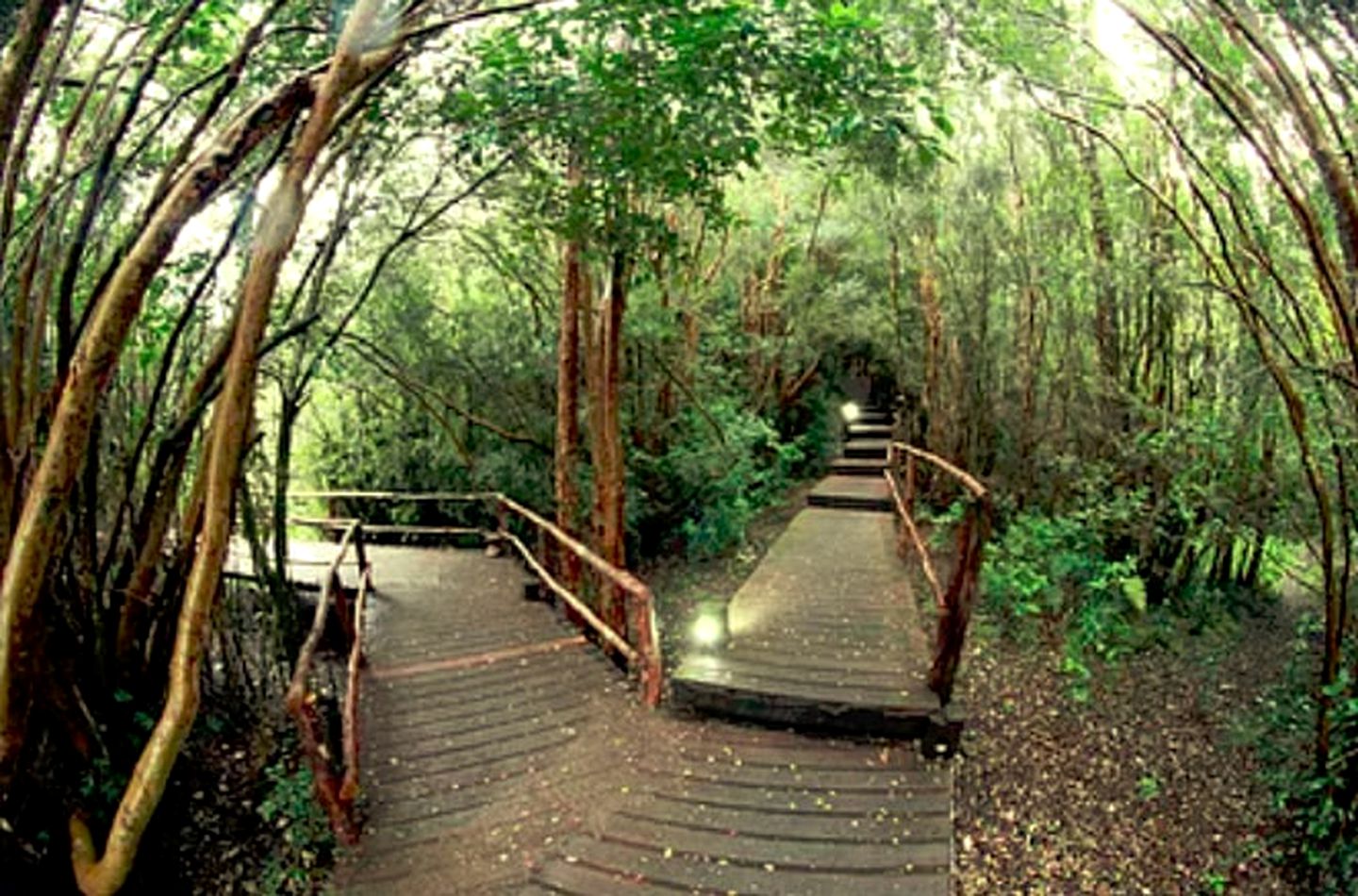 Luxurious Cabin Getaway with Unparalleled Views of Volcanoes near Queilén, Chile