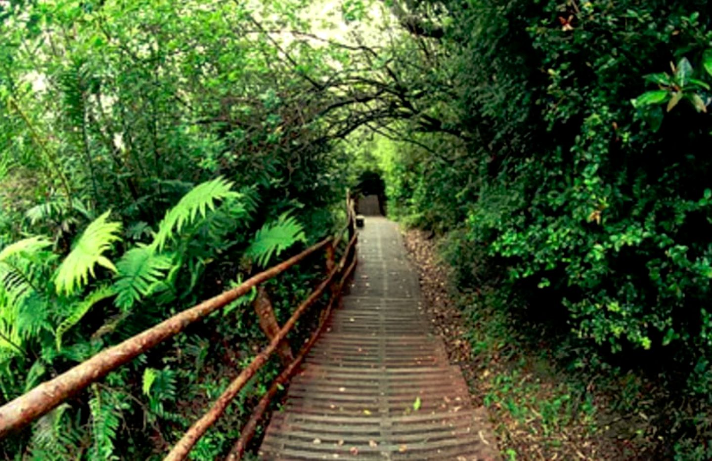 Luxurious Cabin Getaway with Unparalleled Views of Volcanoes near Queilén, Chile