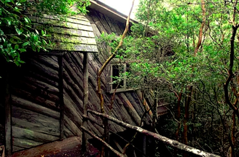 Cabins (Queilén, Los Lagos, Chile)