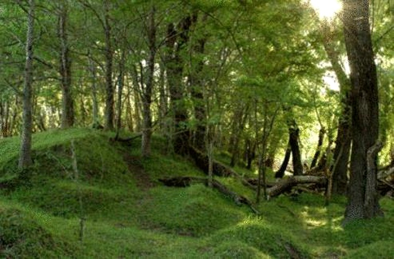 Nature Lodges (Capilla del Senor, Buenos Aires, Argentina)