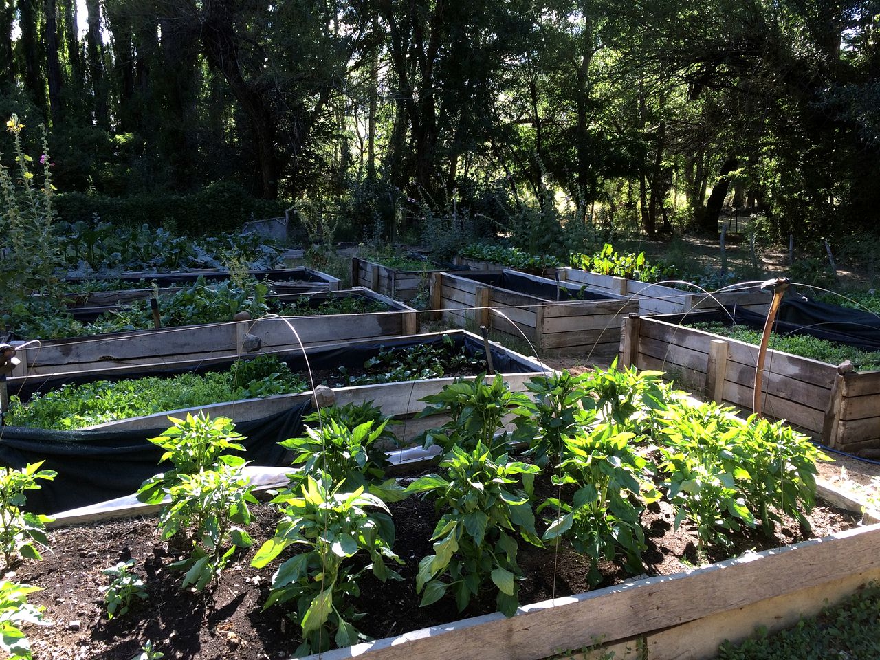 Tranquil Vacation Rental with a Fireplace on the Southern Frontier of Argentina