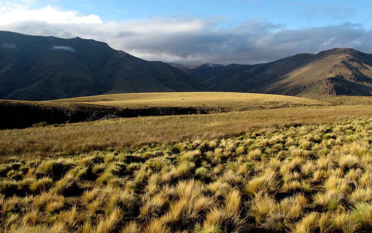 Nature Lodges (Neuquén, Neuquén, Argentina)