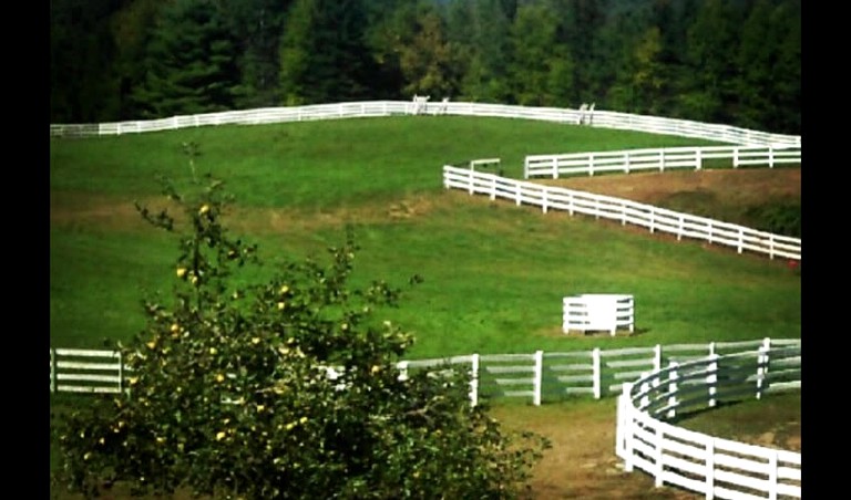 Cabins (Fishs Eddy, New York, United States)