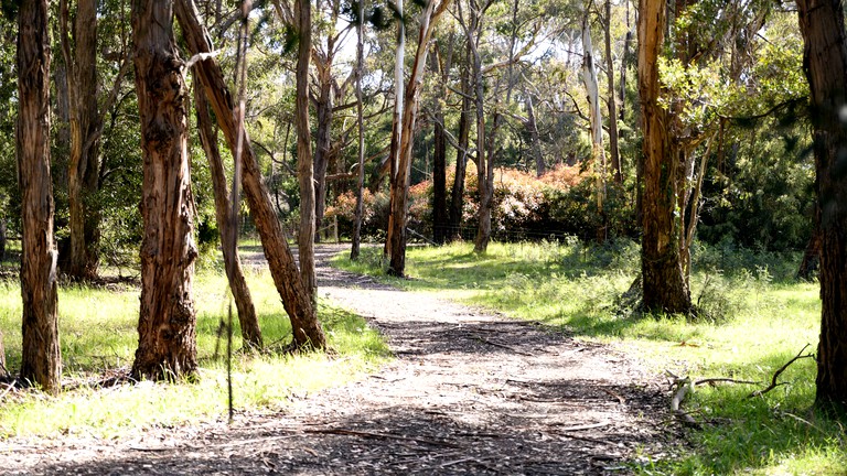 Vacation Rentals (Australia, Drummond, Victoria)