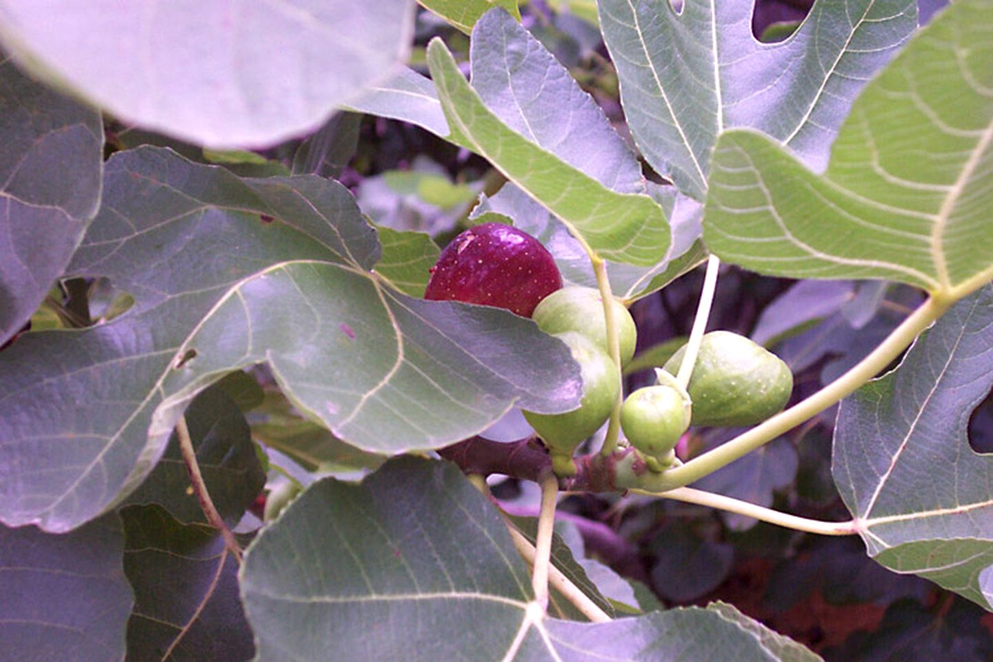Rustic Cabin Getaway with Stunning Front Porch near Beaumont, Texas
