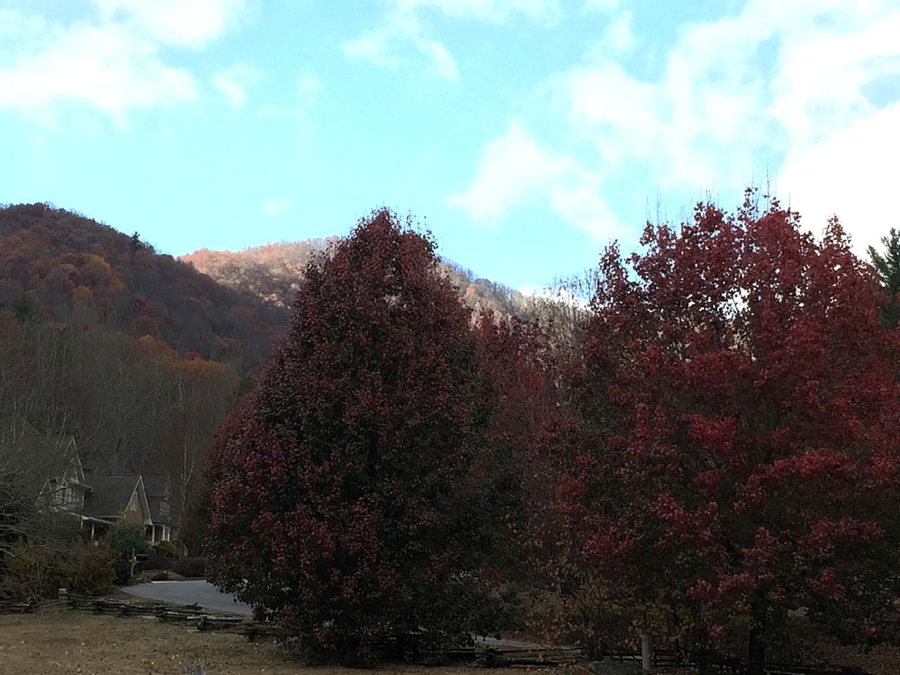 Beautiful Historic 1845 Farmhouse and Cottage for Group Vacation to Asheville