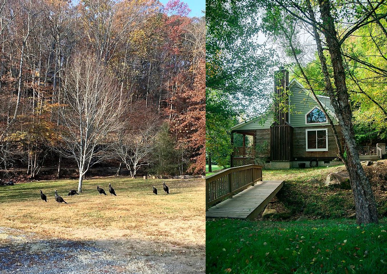 Beautiful Historic 1845 Farmhouse and Cottage for Group Vacation to Asheville