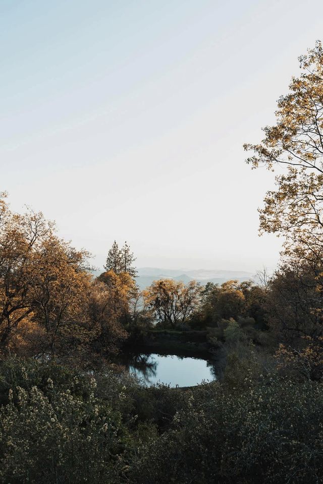 Gorgeous and Rustic Event Venue with Multiple Cabins and Yurts, Perfect for any Special Occasion with a Natural Touch