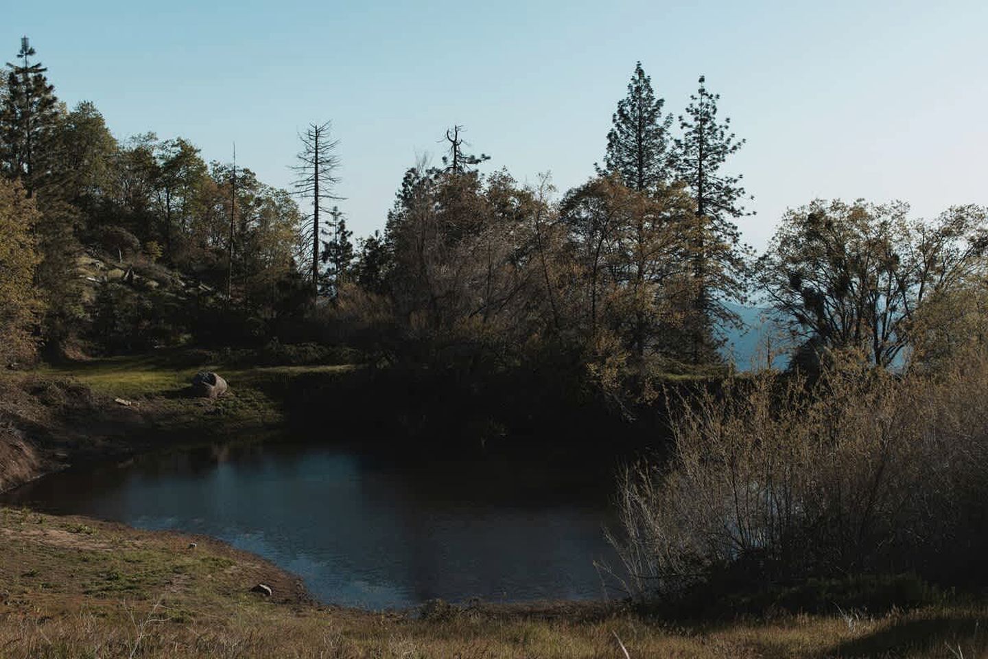 Gorgeous and Rustic Event Venue with Multiple Cabins and Yurts, Perfect for any Special Occasion with a Natural Touch