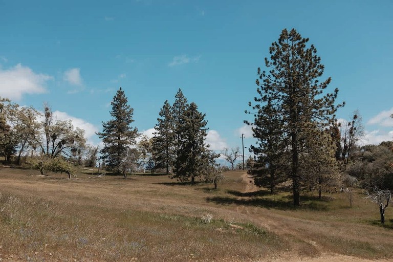 Cabins (United States of America, Dunlap, California)