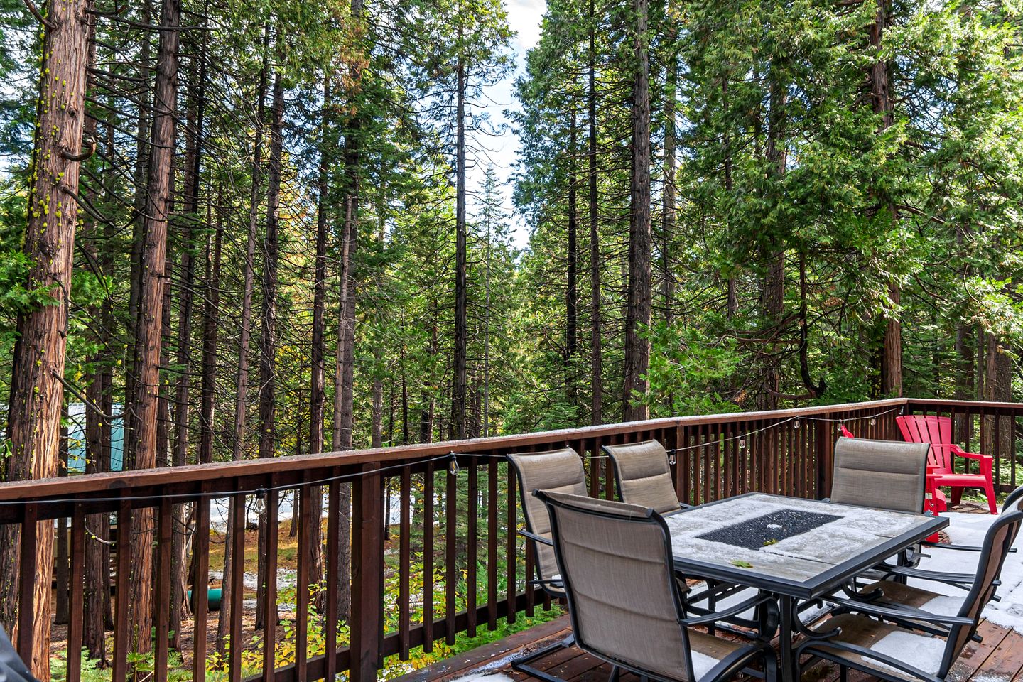 Two Incredible Cabins for a Memorable Family Getaway in Dorrington, California