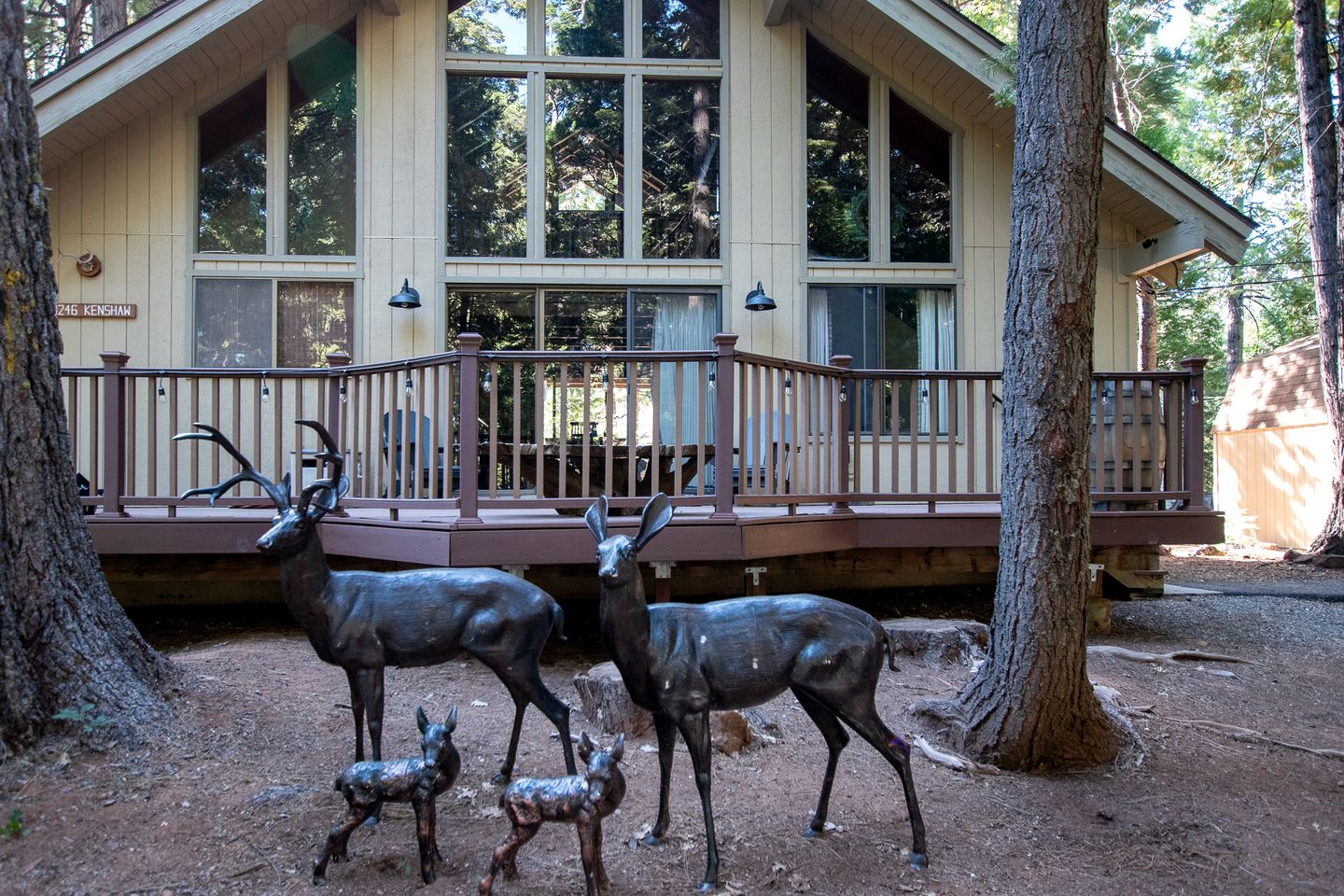 Two Incredible Cabins for a Memorable Family Getaway in Dorrington, California