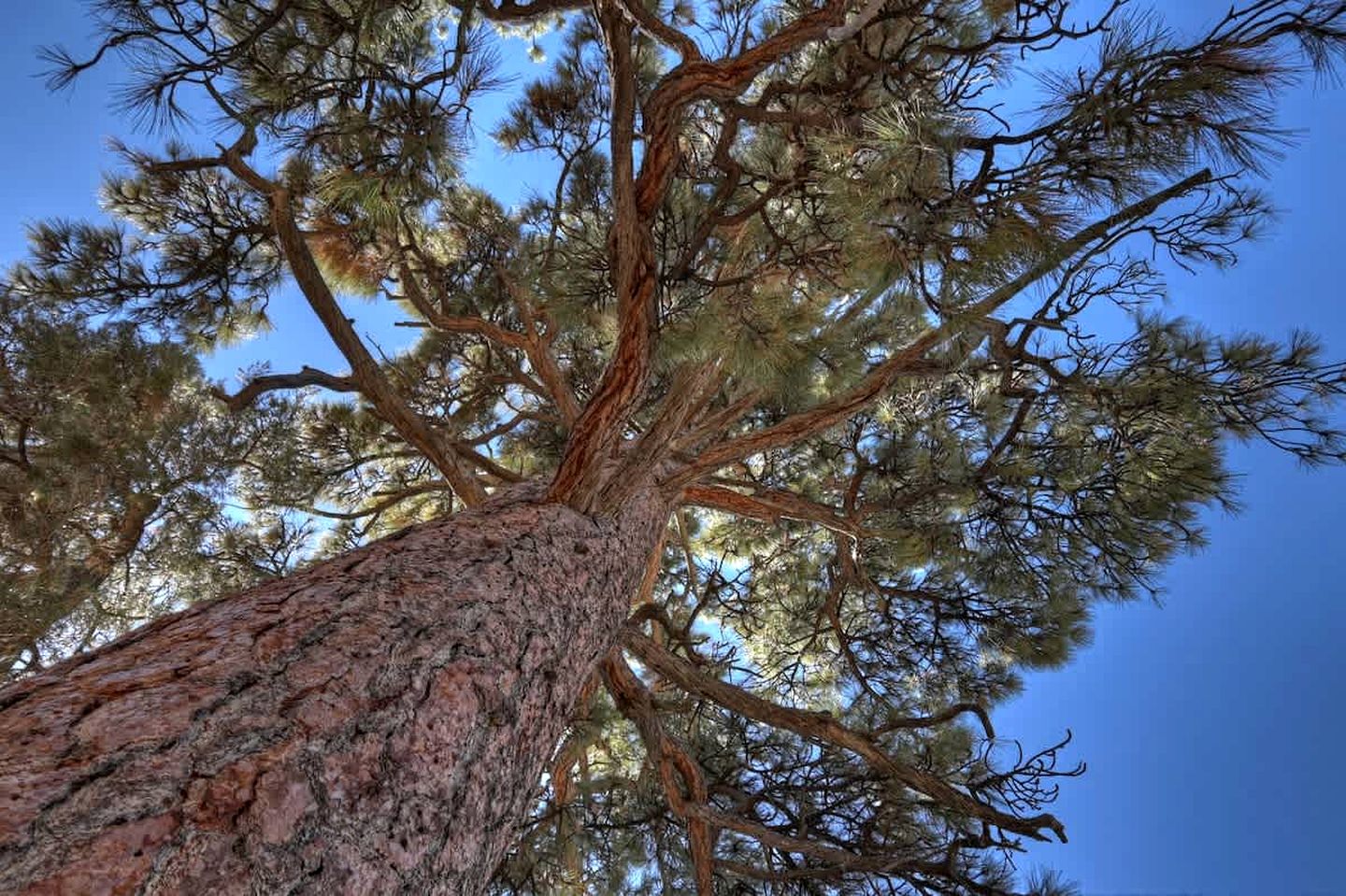 Peaceful Mountain Cabin with Hot Tub Retreat Near Big Bear Lake, California